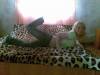 xxx-photo