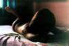 xxx-photo