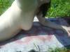 xxx-photo